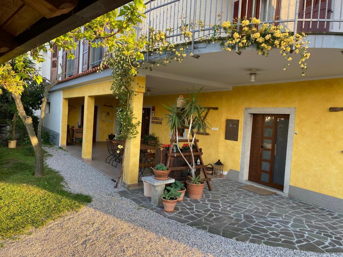 Med Oljkami Apartment Koper Exterior photo