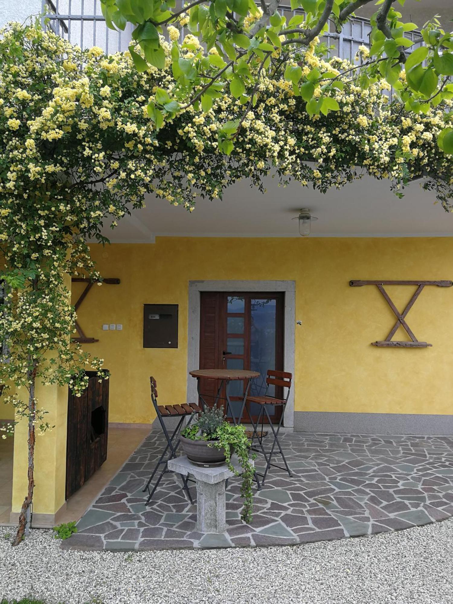 Med Oljkami Apartment Koper Exterior photo