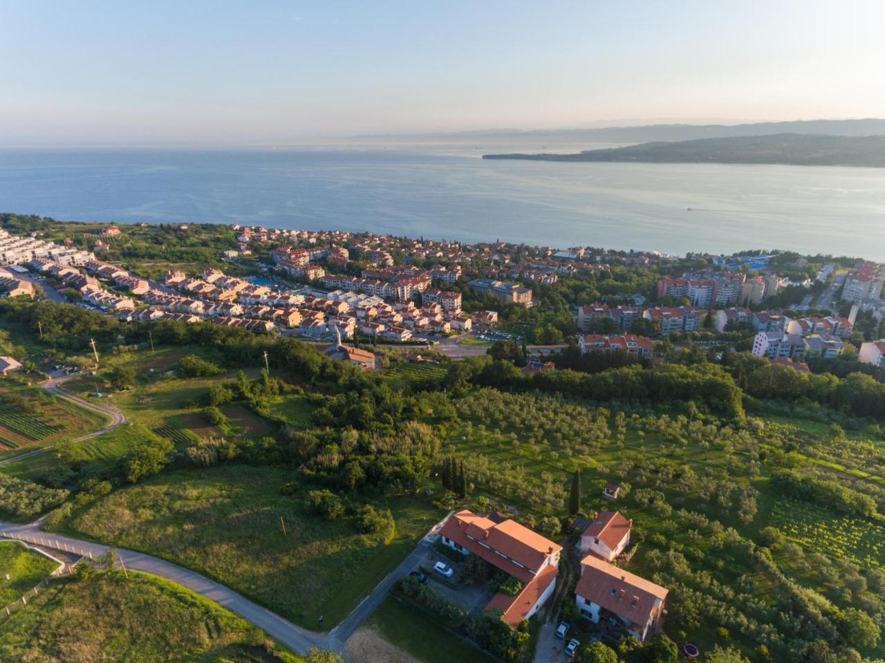 Med Oljkami Apartment Koper Exterior photo